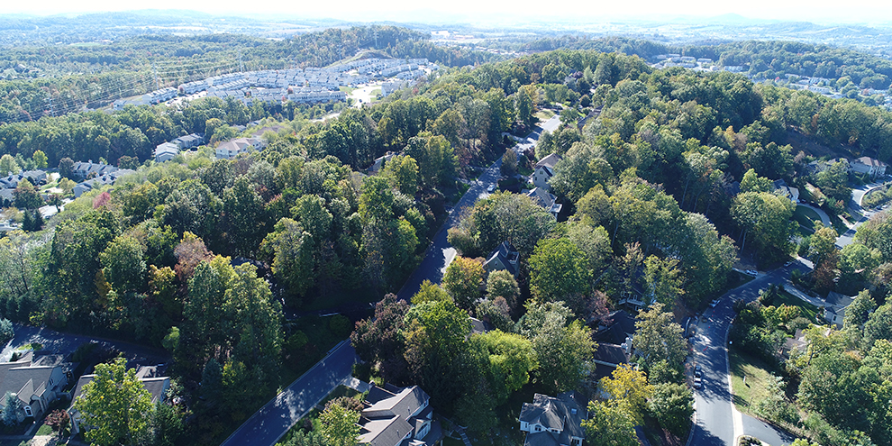 Blue Stone Hills